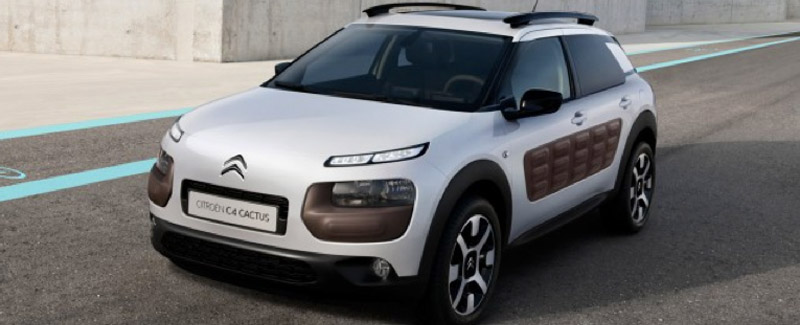 i2014citroencactus